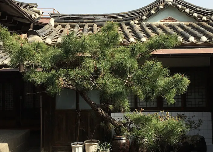 Sophia Hanok 3*