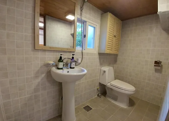 Gasthuis Sophia Hanok 3*